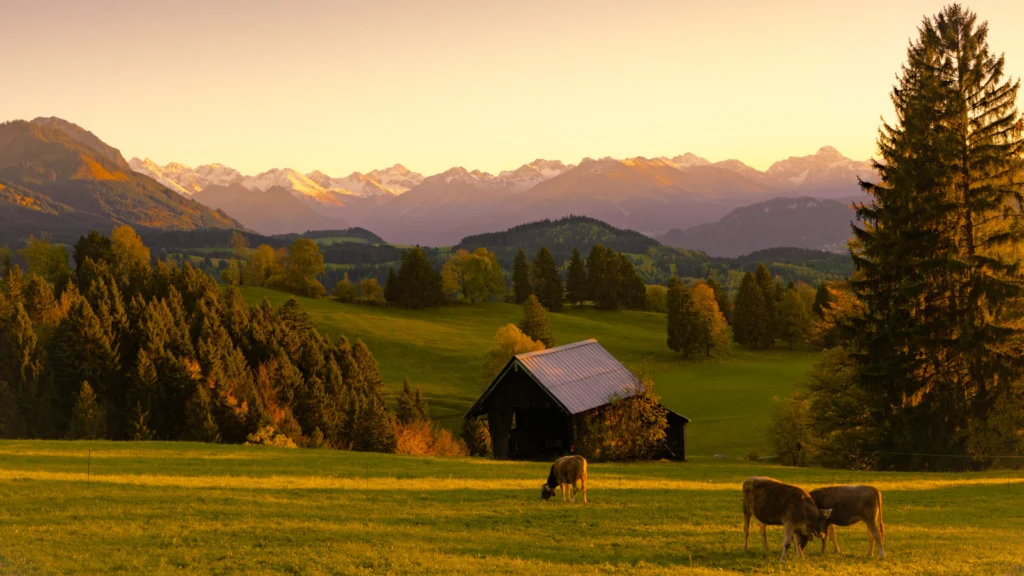 Smart farming with LoRa® sensors