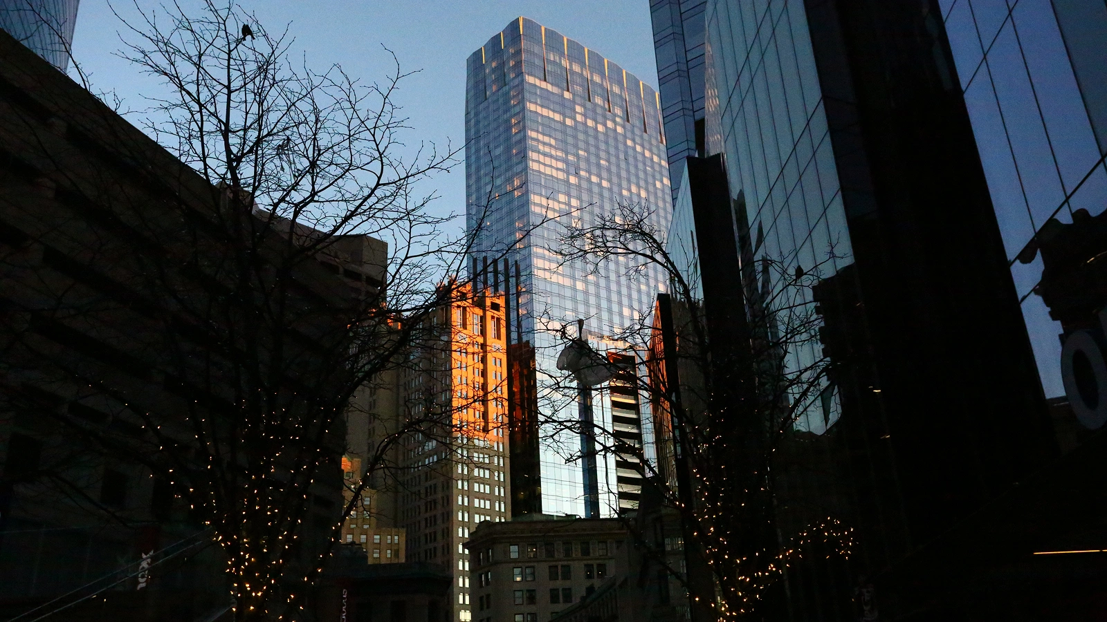 What is the EU AI Act and what does it require from German companies?