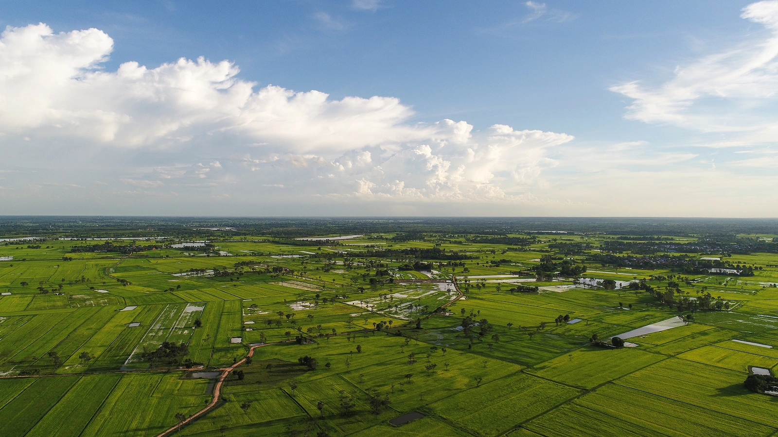 A Map-First Geospatial Platform for Drone, Seedcane and Field Operations